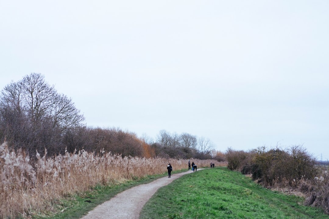 person walking in nature